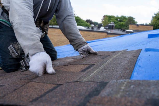 Best Shingle Roofing Installation  in Seth Ward, TX