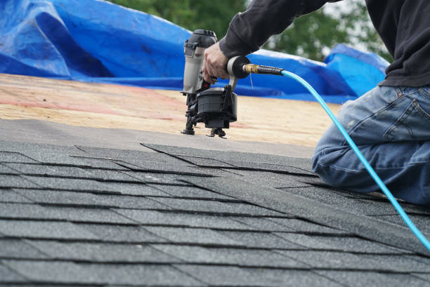 Best Metal Roofing Contractor  in Seth Ward, TX