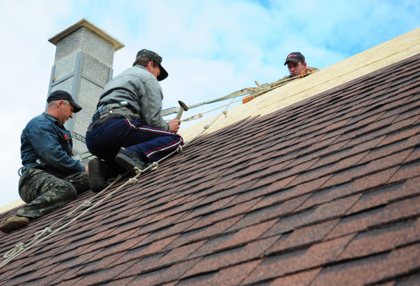 Best Gutter Installation and Roofing  in Seth Ward, TX