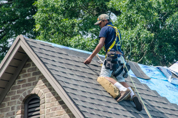 Best Roof Replacement Cost  in Seth Ward, TX